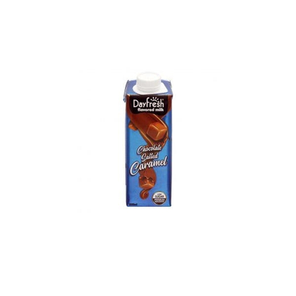 Day Fresh Chocolate Salted Caramel Falvored Milk 225ml